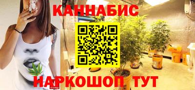 прущие крисы Будённовск