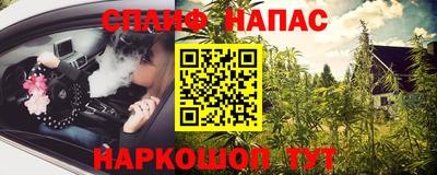 прущие крисы Будённовск