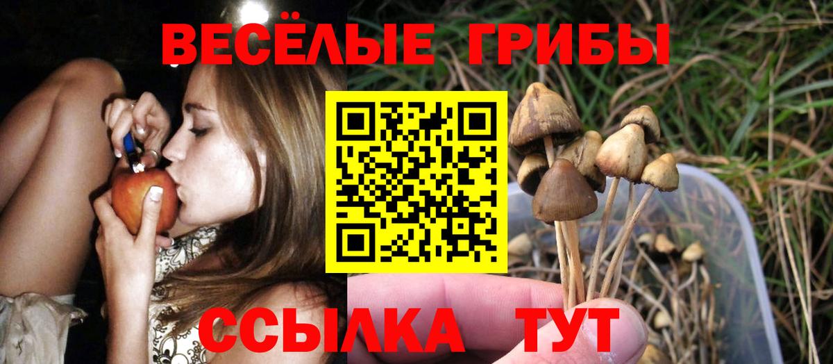 Галлюциногенные грибы ЛСД  Вход с VPN  Шарыпово 